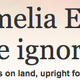 Illustration for article titled Amelia Earhart Died On a Desert Island In the Pacific, We Get It